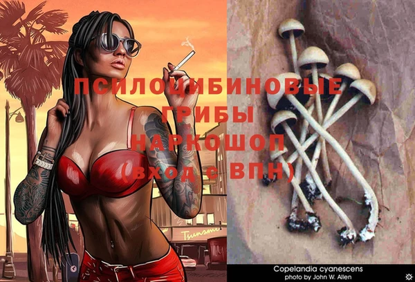 прущая мука Аркадак