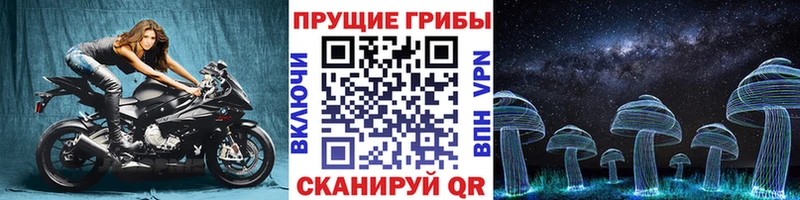 закладки  Славгород  Галлюциногенные грибы Psilocybe 