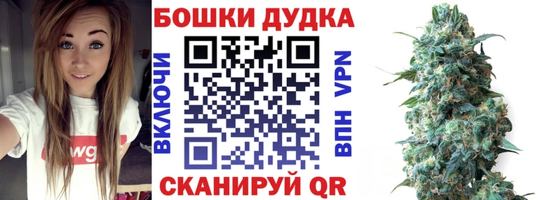 где найти   Славгород  Канабис гибрид 